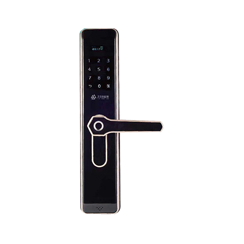 智能門鎖-T811（香檳金）